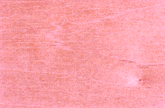 Cedro
